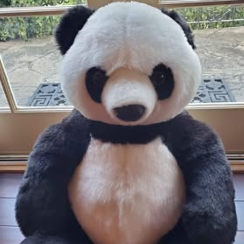 Large panda plush. Measures 3 feet high. Bought at San Diego